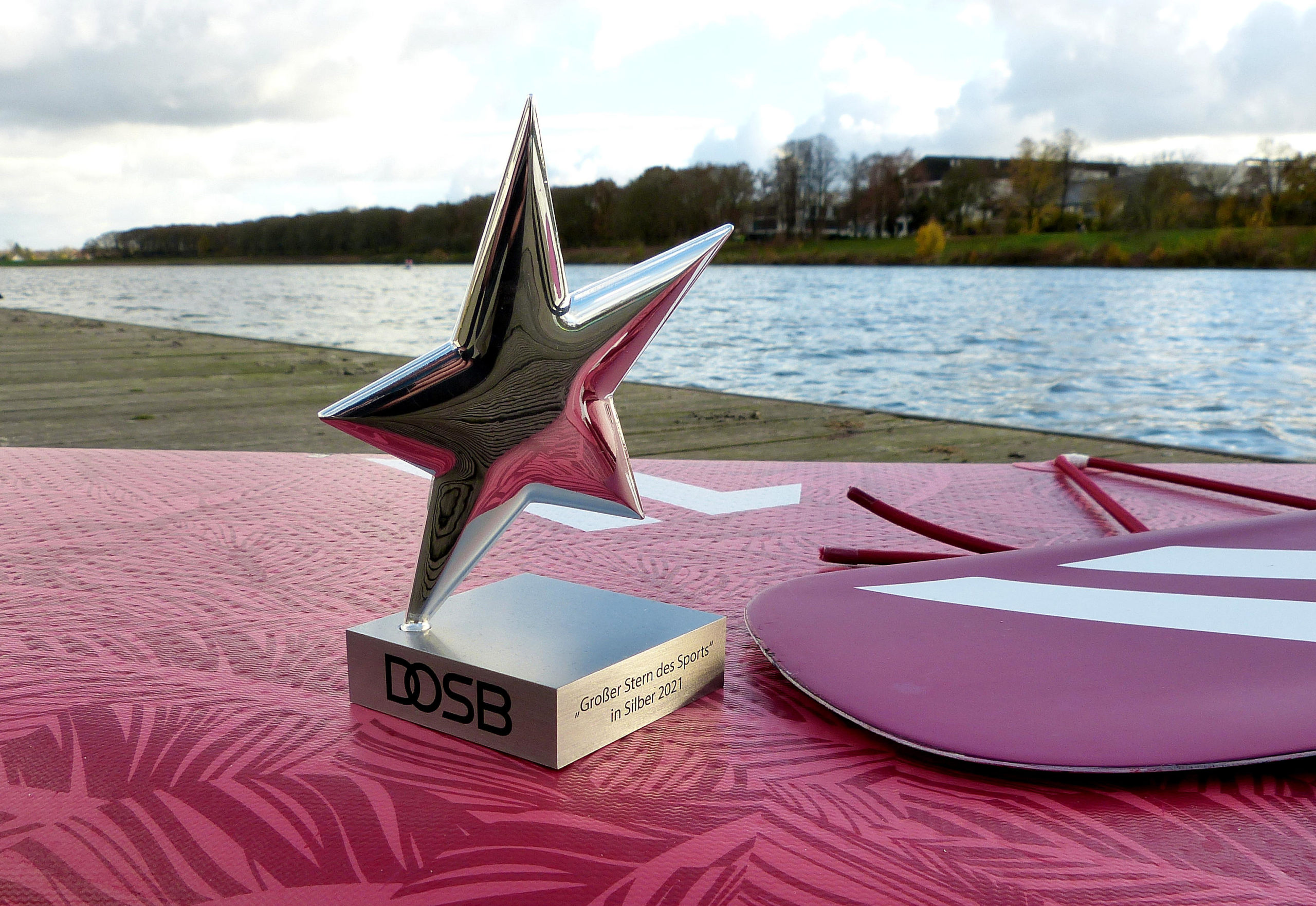 Großer Stern in Silber